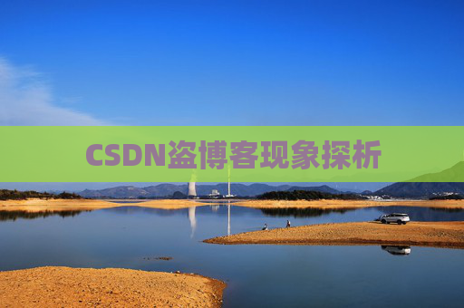 CSDN盗博客现象探析